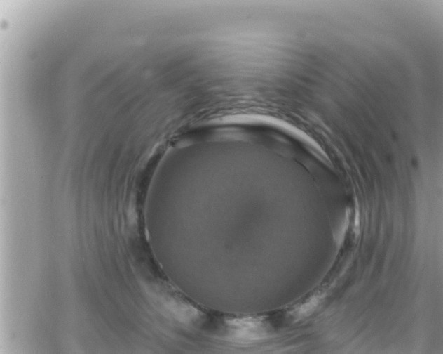 X0000066510516200603241310