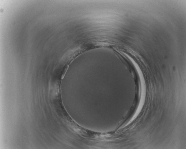 X0000066510517200603241310