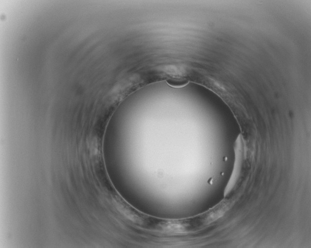 X0000066510518200603241310