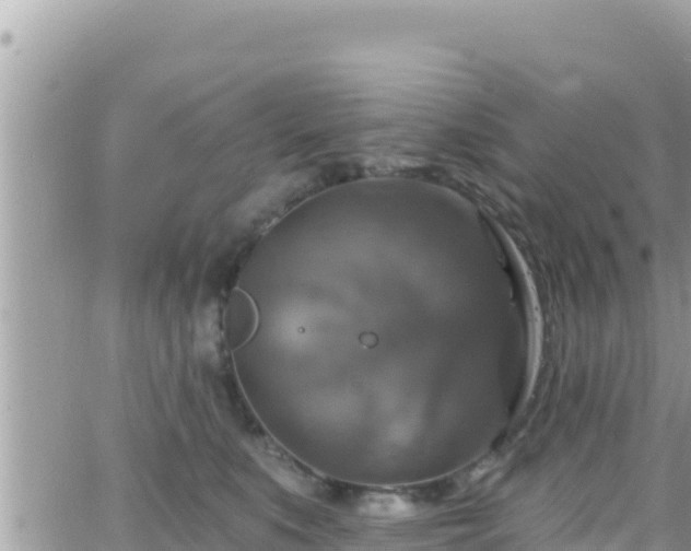 X0000066510519200603241310