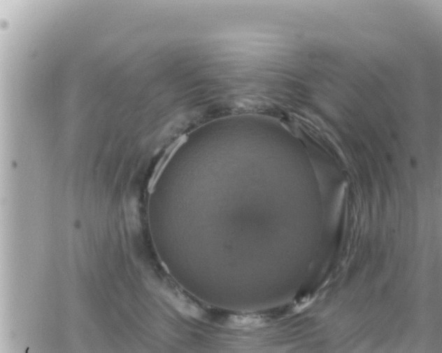 X0000066510520200603241310