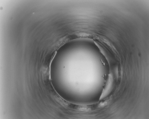 X0000066510521200603241310