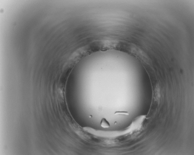 X0000066510522200603241310