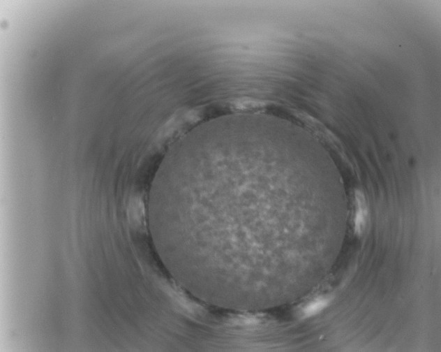 X0000066510523200603241310