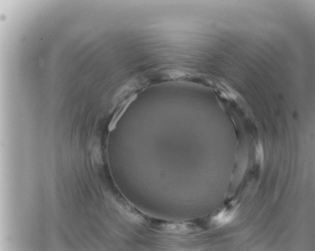 X0000066510524200603241310