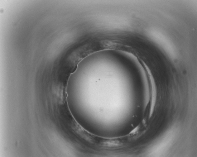 X0000066510525200603241310