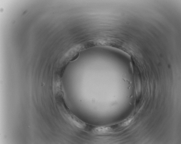 X0000066510526200603241310