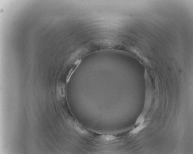 X0000066510528200603241310