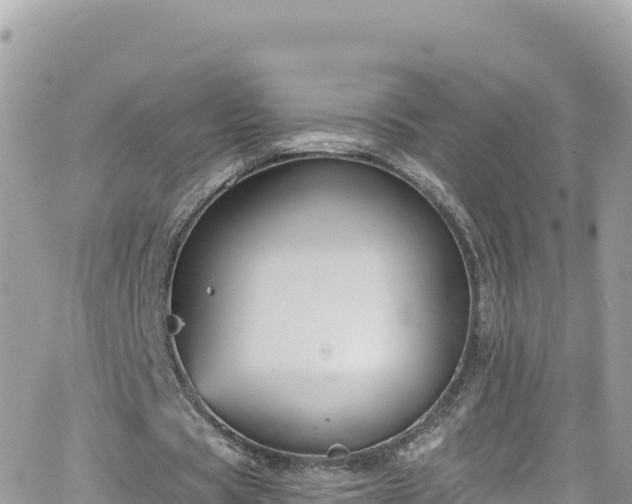 X0000066510529200603241309