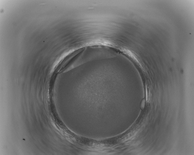 X0000066510531200603241309