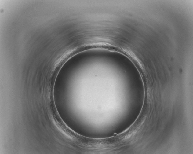 X0000066510533200603241309