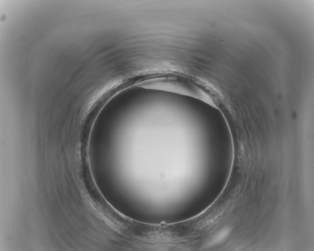 X0000066510535200603241309