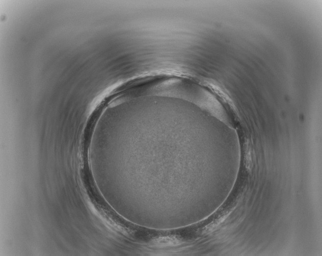 X0000066510536200603241309