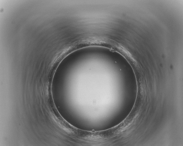 X0000066510537200603241309