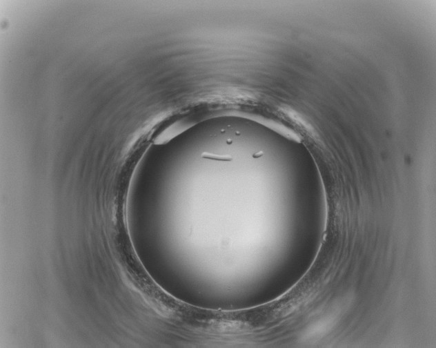 X0000066510539200603241309