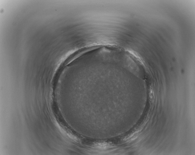 X0000066510540200603241309