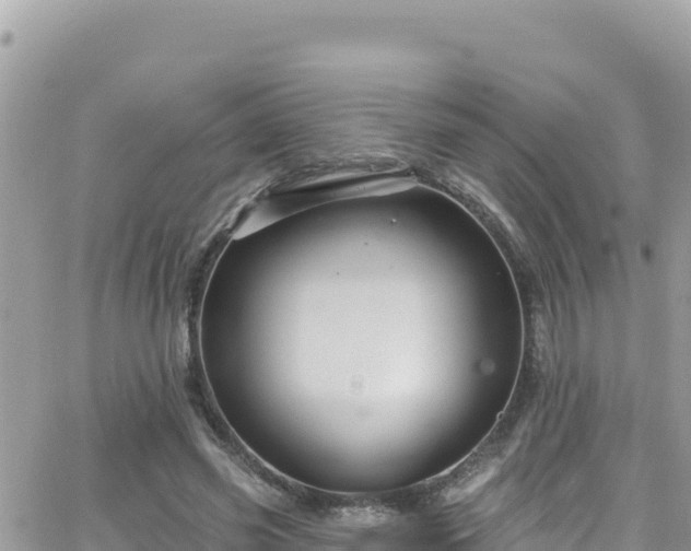 X0000066510541200603241309