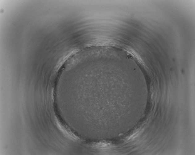 X0000066510542200603241309