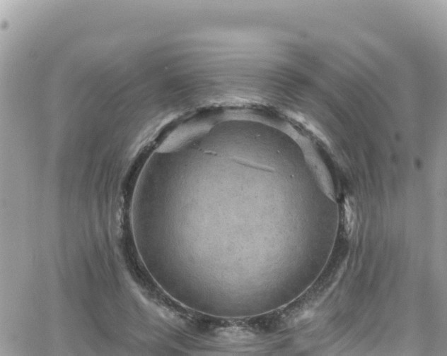 X0000066510544200603241309