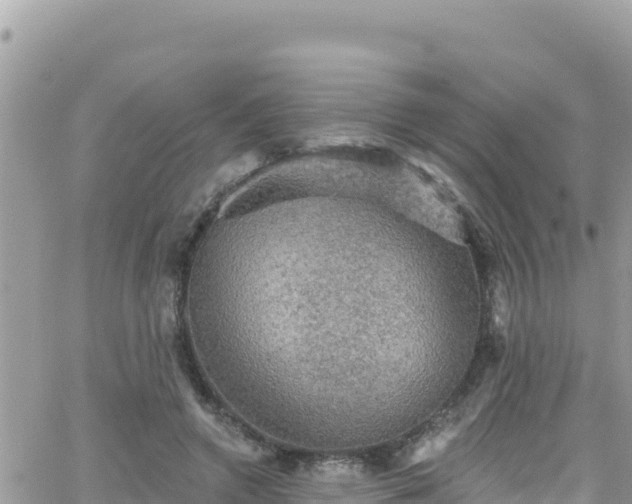 X0000066510546200603241309