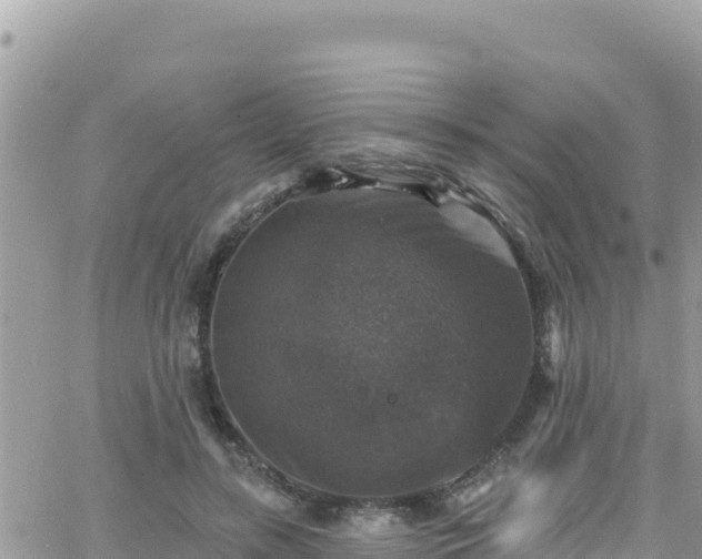 X0000066510547200603241309