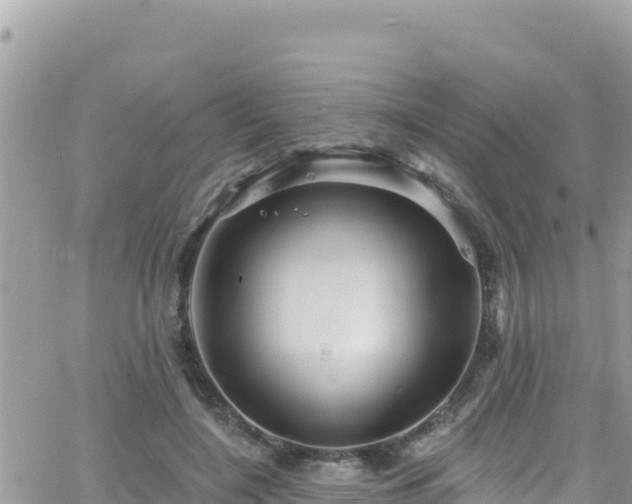 X0000066510548200603241309