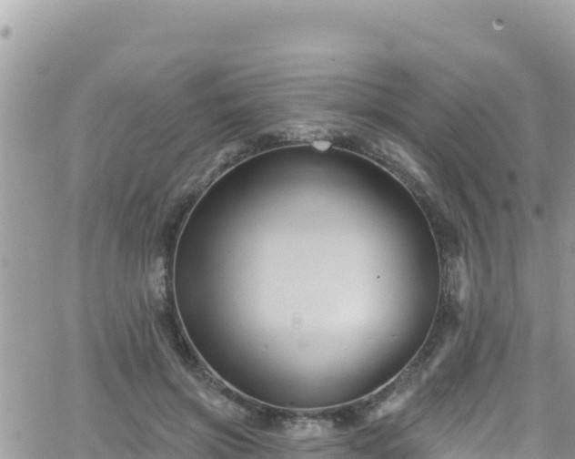 X0000066510549200603241309