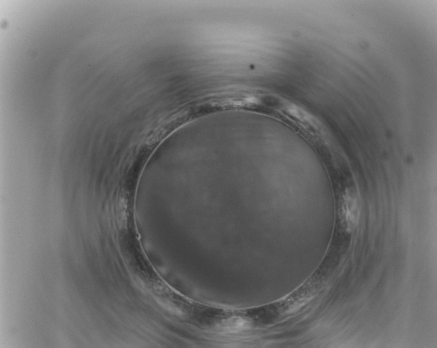 X0000066510551200603241309