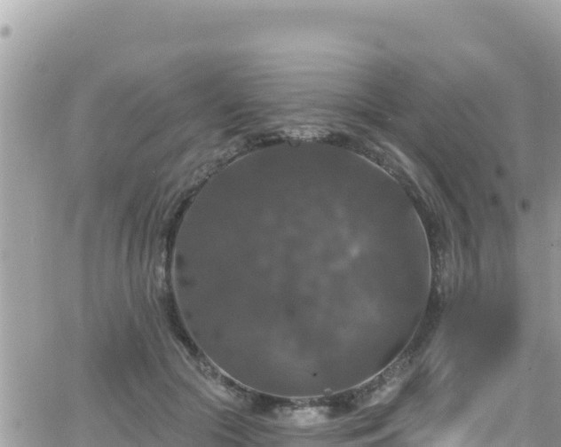 X0000066510553200603241309