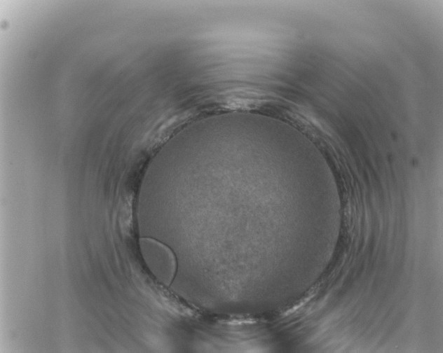 X0000066510554200603241309