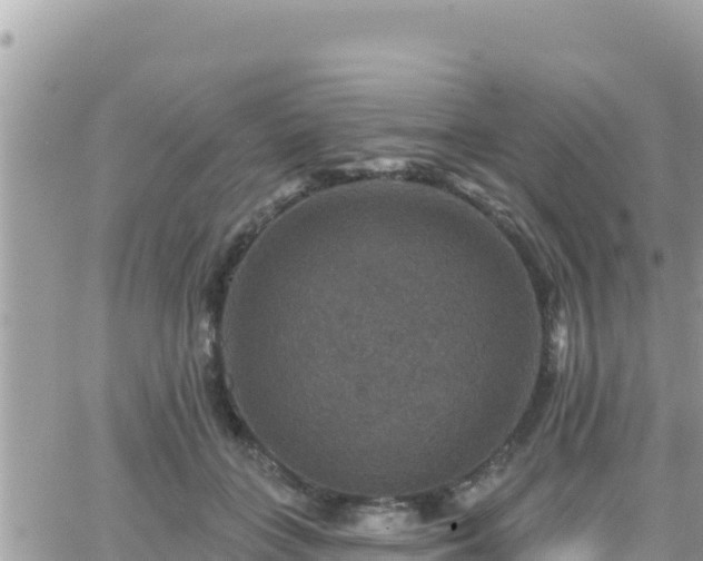 X0000066510555200603241309