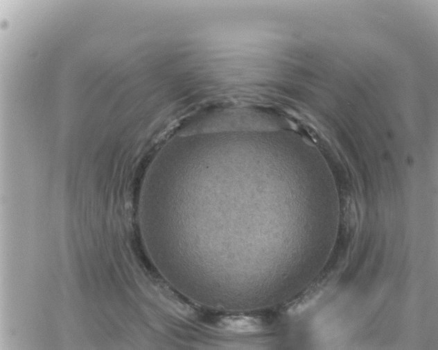 X0000066510557200603241309