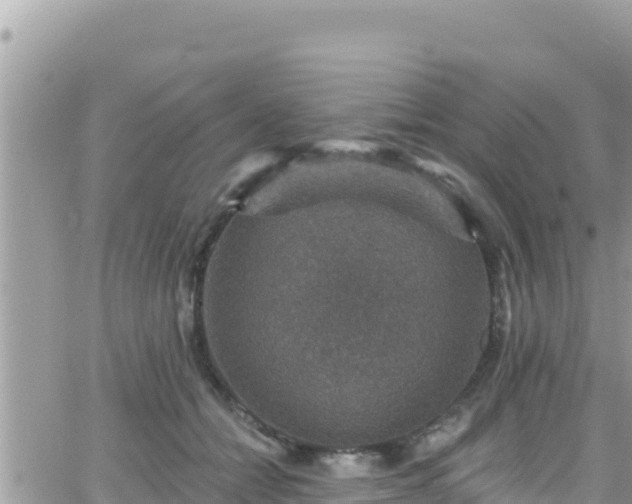 X0000066510558200603241309