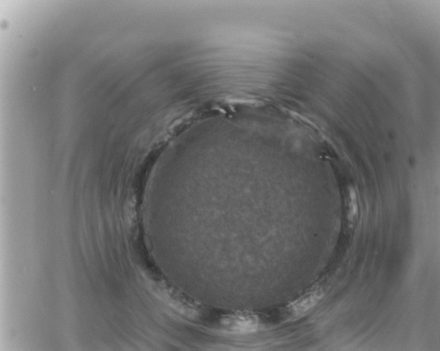 X0000066510559200603241309