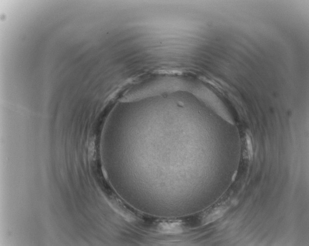 X0000066510560200603241309