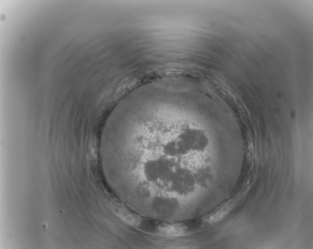 X0000066510561200603241309