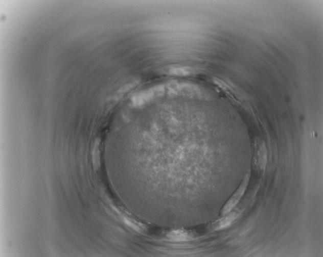 X0000066510562200603241309