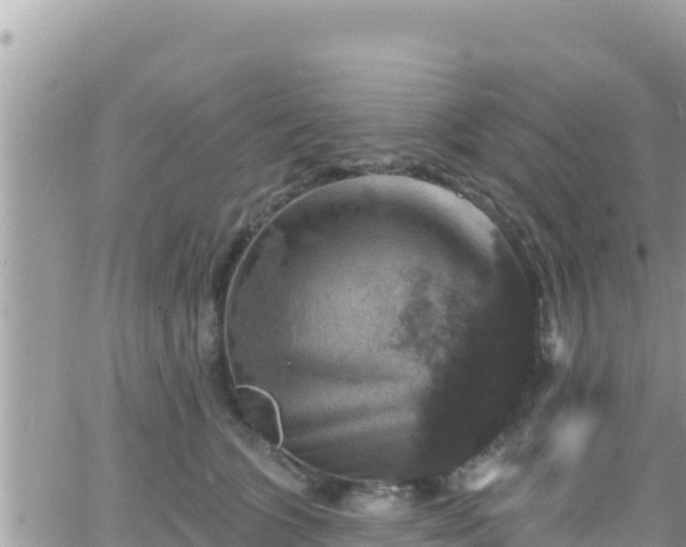 X0000066510563200603241309