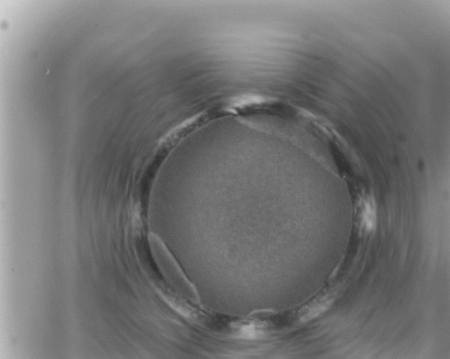 X0000066510564200603241309