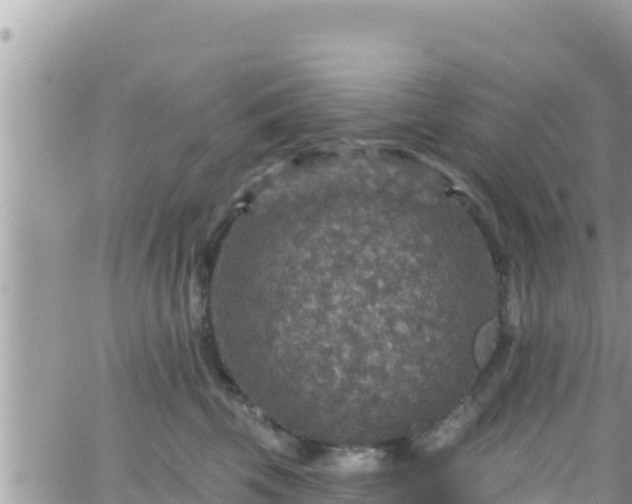 X0000066510569200603241309