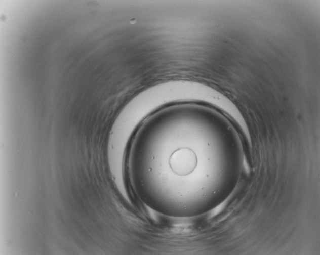 X0000066510570200603241309