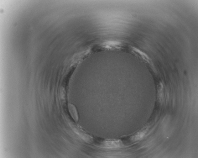 X0000066510571200603241309