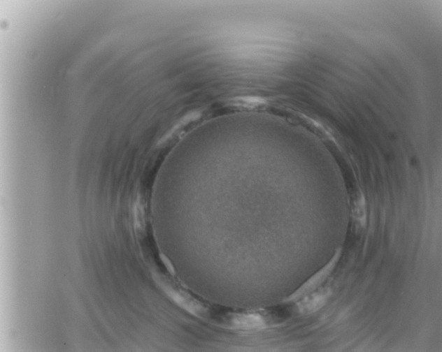 X0000066510572200603241309