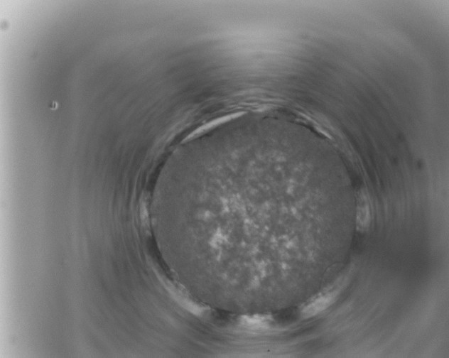 X0000066510573200603241309