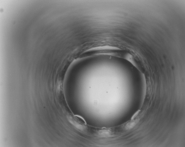 X0000066510574200603241309