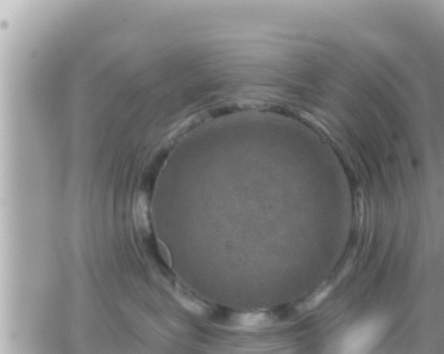 X0000066510575200603241309