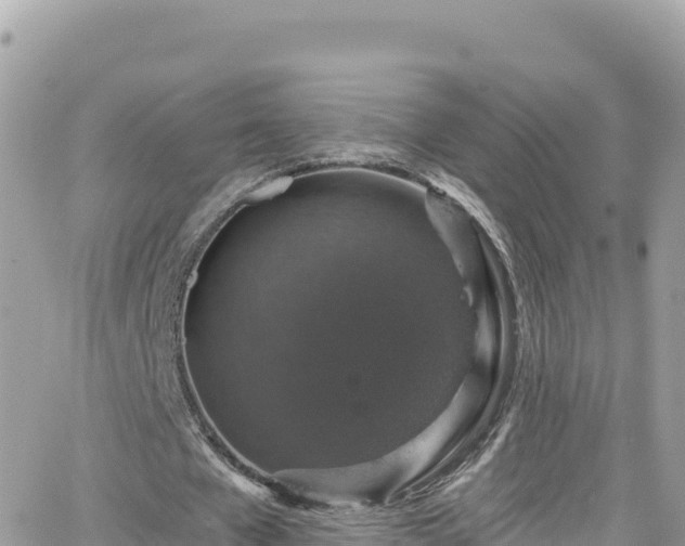 X0000066510577200603241309