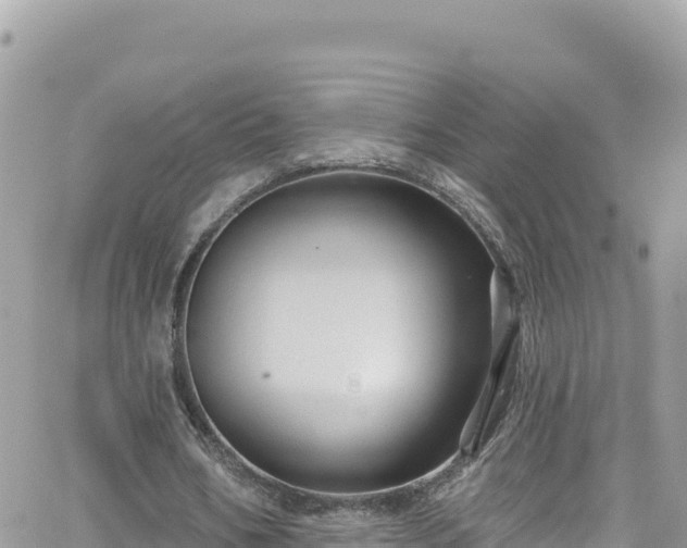 X0000066510578200603241309