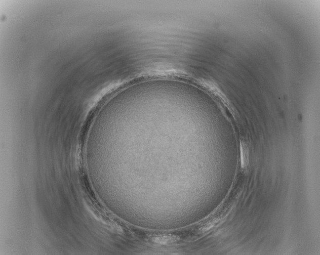 X0000066510579200603241309