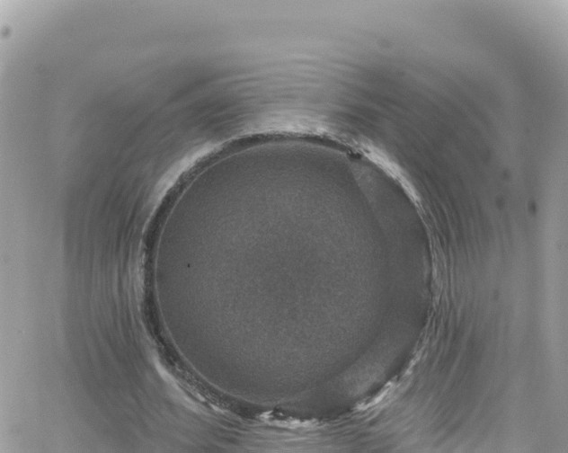 X0000066510580200603241309